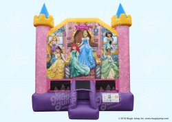 (11)   Disney Princess 16.5X15    1HP BLOWER