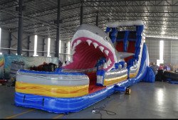 (24) Shark Attack Water Slide