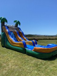 (27) Tropical  jr Wave Slide 26X10X15