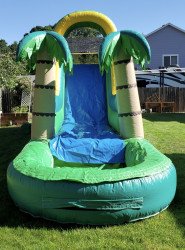 FD442DFB 60D8 4067 A688 9F5FB3E20BF3 1626415704 (16) Tropical Water slide 33X9