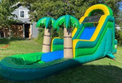 (16)  Tropical Water slide 33X9