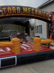 MECHANICAL BULL