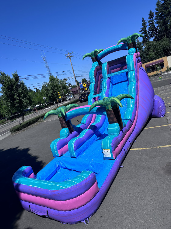 (53) Purple Rain Water Slide