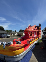 (61) Dragon Water Slide