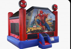 (05) Spiderman Theme 15X15